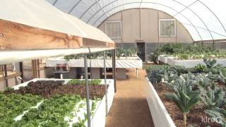 Aquaponics  Austin Aquaponics  Central Texas Gardener [upl. by Onitsuaf494]