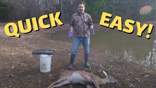 HOW TO Field Dress a Deer  Quick amp Easy [upl. by Acilejna]