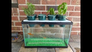 My DIY Aquaponics Aquarium Project [upl. by Jeniffer807]