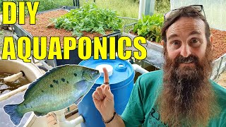 Starting an Aquaponics System  How to Start amp What You Need [upl. by Amilb]