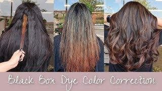 Black Box Dye Hair Color Correction  FULL CORRECTION FROM BLACK TO BROWN HAIR [upl. by Cohl]