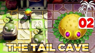 The Tail Cave amp Moldorm in Links Awakening Switch  100 Walkthrough 02 [upl. by Leisha]