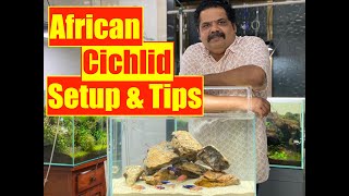 African Cichlid Fish  How to Setup an Aquarium  Mayur Devs Tips on Cichlid Fish Keeping HD1080p [upl. by Nnyllatsyrc]