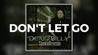 Dont Let Go Lyrics  Spawnbreezie [upl. by Anasor652]