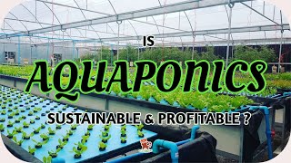 Is Commercial Aquaponics Sustainable amp Profitable   Agriculture [upl. by Hewe800]