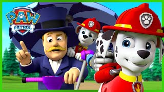 Pups help Tracker rescue the Jungle from a super villain and more  PAW Patrol  Cartoons for Kids [upl. by Lilian518]