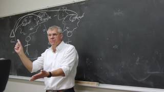 Philosophy in One Lecture [upl. by Donall]