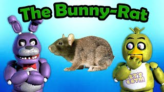 Freddy Fazbear and Friends quotThe BunnyRatquot [upl. by Notled246]