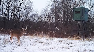 The Dos and Donts of Feeding Deer Over Winter [upl. by Karrie]