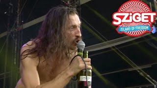 Gogol Bordello TransContinental Hustle amp Immigraniada Live  Sziget 2015 [upl. by Nealon270]