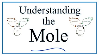 Understanding the Mole the basics [upl. by Trilbie]