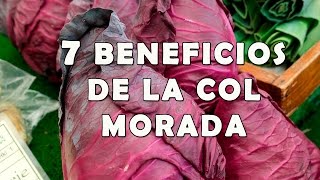 7 Increibles Beneficios de la Col Morada para la Salud [upl. by Gilligan]