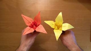 ORIGAMI IRYS  kwiaty z papieru  IRIS FLOWER [upl. by Lenard902]