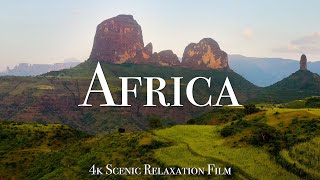 Africa 4K  Scenic Relaxation Film With Calming Music [upl. by Vladamir]