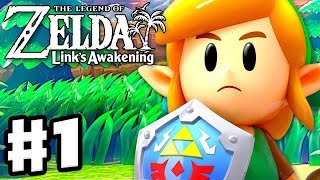 The Legend of Zelda Links Awakening  Gameplay Part 1  Intro and Tail Cave Nintendo Switch [upl. by Aihsatan]