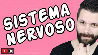 SISTEMA NERVOSO  FISIOLOGIA  Aula  Biologia com Samuel Cunha [upl. by Naginnarb726]