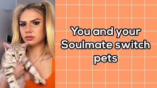 Bailey Spinn  You and Your Soulmate Switch Pets Part 110 TikTok Pov [upl. by Rayshell890]