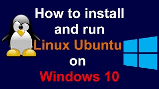 How to install Linux Ubuntu on Windows 10 WSL and VM [upl. by Abebi]