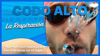 ▷ Aprende a NADAR desde 0 🏊  La RESPIRACIÓN 🗣 [upl. by Goldina]