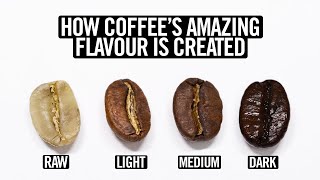 Coffee Roasting Explained [upl. by Swarts]