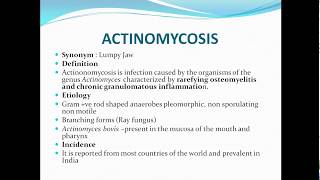 Actinomycosislumpy jaw [upl. by Ioyal]