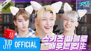 스키즈 마블로 배우는 인生 1｜SKZ CODE Ep04 [upl. by Dulcy]