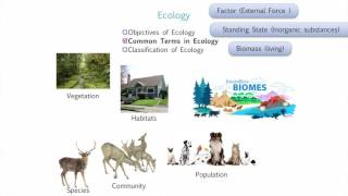 Introduction to Environmental Studies [upl. by Gabriela]