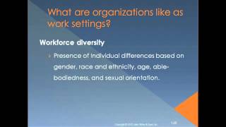 Introduction to Organizational Behavior Chapter 1 [upl. by Asare887]