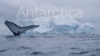 ANTARCTICA  The Frozen Continent  4k DRONE Video [upl. by Ialocin]