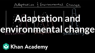 Adaptation and environmental change  Mechanisms of evolution  High school biology  Khan Academy [upl. by Nwahsad]