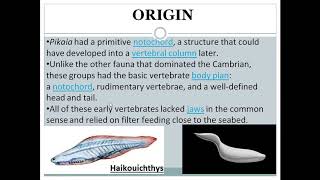 Ostracoderms  origin amp features [upl. by Eiramlatsyrc]