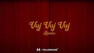 Dafina Zeqiri  Vuj vuj vuj Anso Remix [upl. by Kenji]