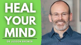 Dr Judson Brewer  A Neuroscientists Guide To Unwinding Anxiety [upl. by Magdalen20]