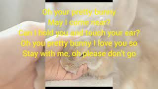 Rabbit SongBunny Bunny Bunny You are so Funny [upl. by Sapphira]