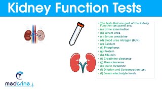 Kidney Function Tests and Interpretation of Results [upl. by Fachini]