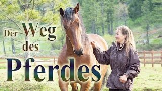 Der Weg des Pferdes  Dokumentarfilm  Deutsch Untertitel [upl. by Engdahl]