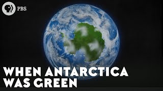 When Antarctica Was Green [upl. by Adnilemreh557]