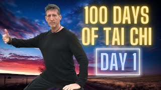 Learn Tai Chi at Home in 100 Days [upl. by Tiduj]