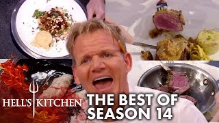 The Best Moments Of Hells Kitchen Season 14 [upl. by Aryajay]