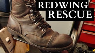 REDWING RESCUE  ANGELO SHOE SHINE ASMR [upl. by Ranie]