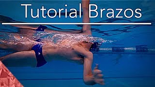 Como nadar dorso  espalda correctamente Tecnica brazos Natacion [upl. by Adal]