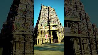 Top 10 Temple Gopuram [upl. by Ledua184]