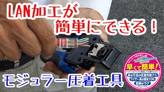 LANケーブル加工が簡単にできる！貫通LAN圧着工具【LMJ8TC】 [upl. by Eletnahs]