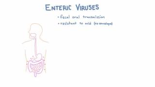 Introduction to Enteric Viruses [upl. by Ostap]