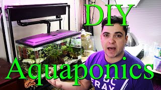 DIY AQUAPONICS System for 10 Gallon Fish Tank  Part 1 [upl. by Lanaj147]