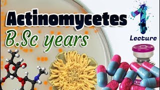 Actinomycetes  Characteristics  Importances  Identification BSc 3st year 🧫💊🔬 [upl. by Tannen]