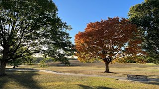 Park Profile Meadowbrook Park [upl. by Mchail216]