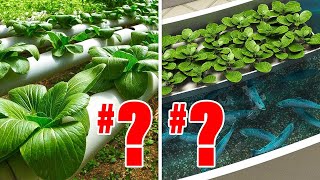 Hydroponics VS Aquaponics Heres Which Ones REALLY Better [upl. by Salangia]