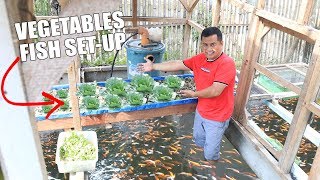 BUILDING HYDROPONICS COLORED FISH TANK SETUP [upl. by Letitia]