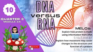 Grade 10 SCIENCE  Quarter 3 Module 4A  DNA vs RNA [upl. by Ylicis]